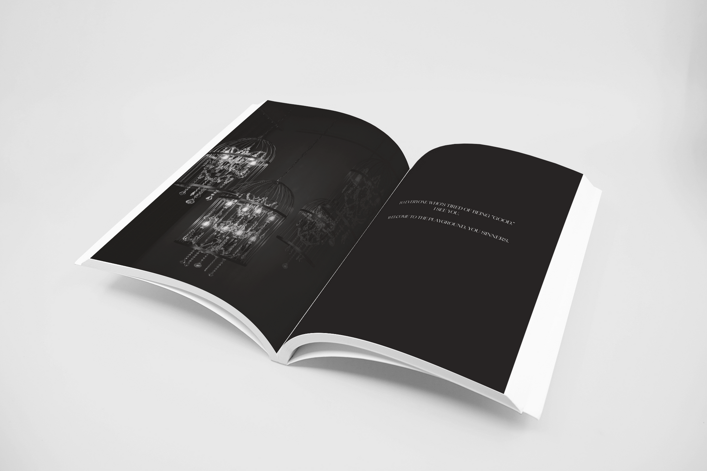 The Playground Club Series by Shannon Elliot