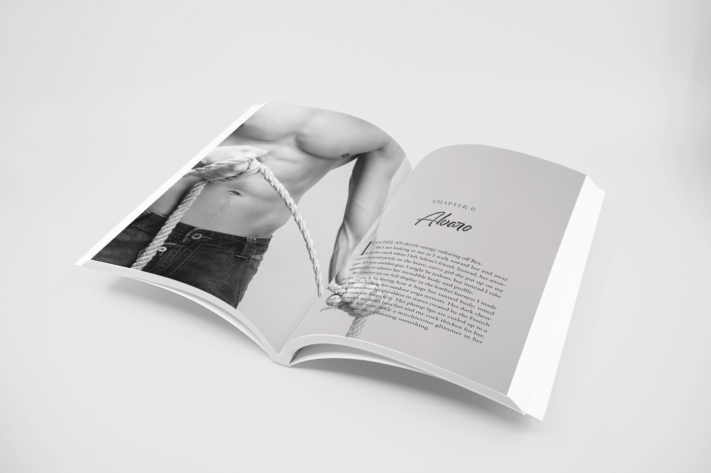 The Playground Club Series by Shannon Elliot