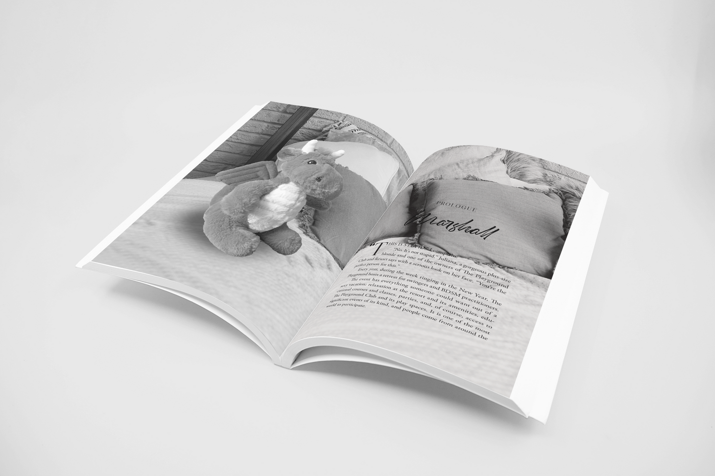 The Playground Club Series by Shannon Elliot
