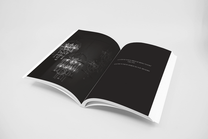 The Playground Club Series by Shannon Elliot